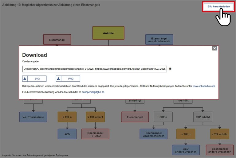 onkopedia_wussten-sie-schon_bilddownload.jpg