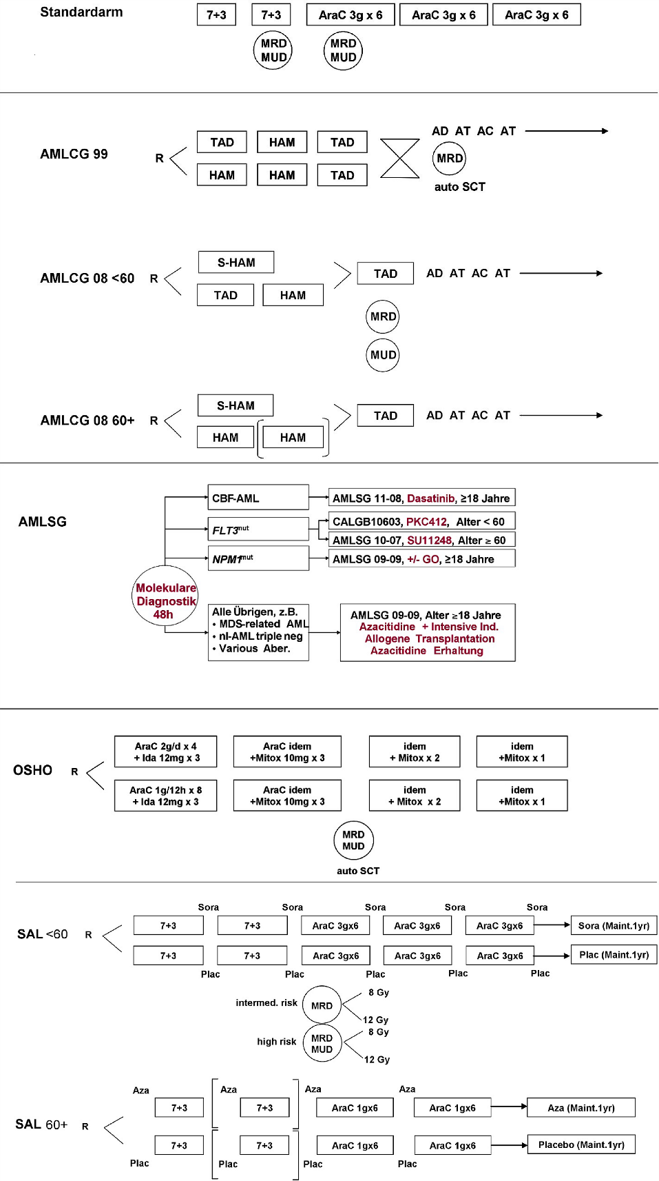 Design des Standardarms und der Studien der deutschen AML Studiengruppen