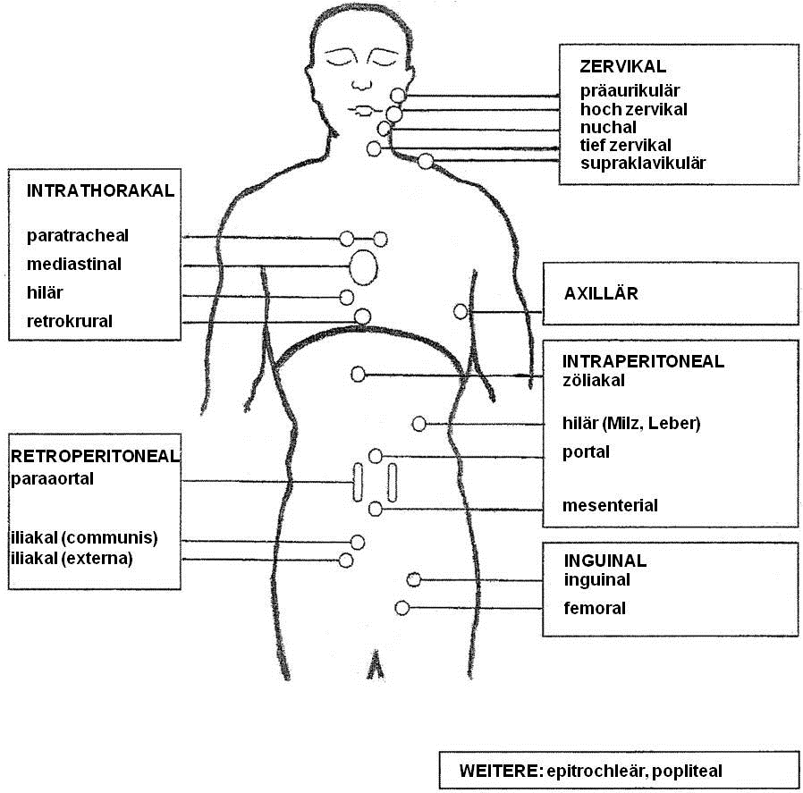 Lymphknotenregionen