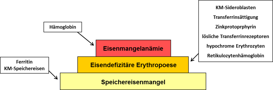 Sensitivität der verschiedenen Eisenparameter