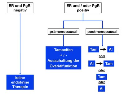 Mammakarzinom Abb. 02