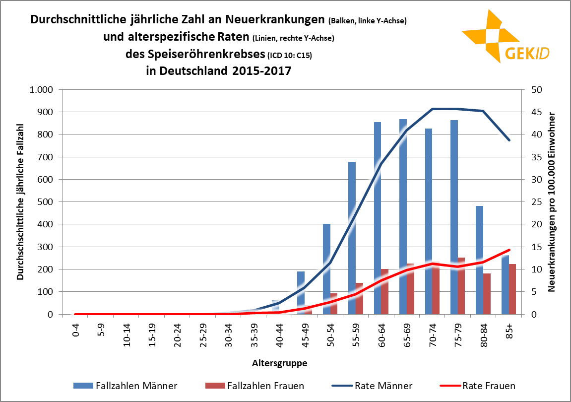 Altersverteilung der Inzidenz des Speiseröhrenkrebs (ICD 10: C15) – altersspezifische Fallzahlen und Raten Quelle: Zentrum für Krebsregisterdaten, Datenbankabfrage 2