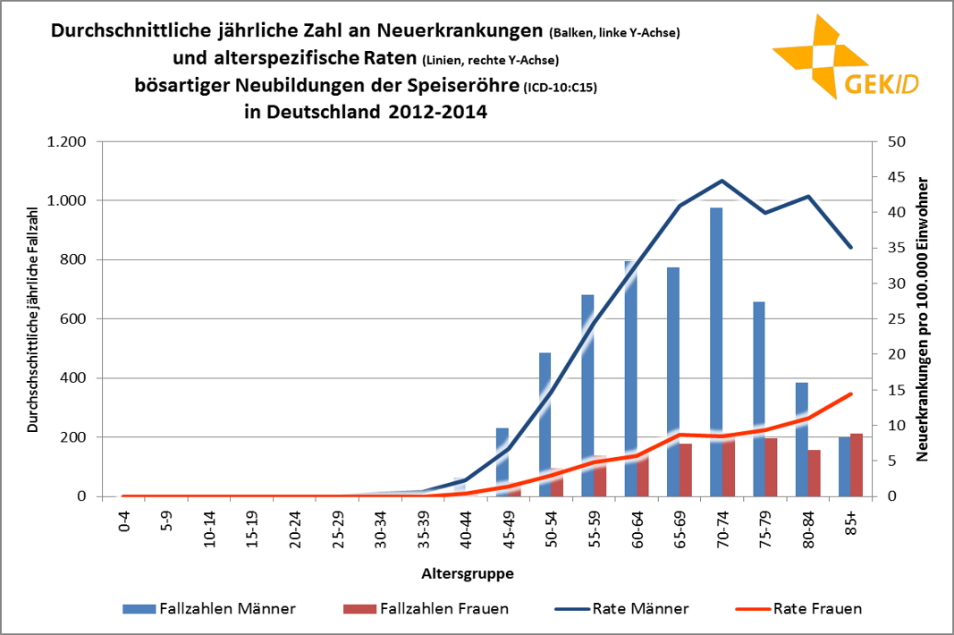 Altersverteilung der Inzidenz der bösartiger Neubildungen der Speiseröhre – altersspezifische Fallzahlen und Raten 