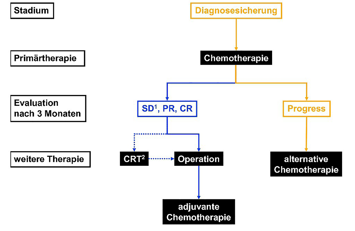 Pankreaskarzinom (Stand August 2010) — Onkopedia