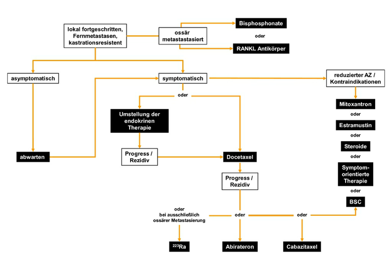 Algorithmus für die Therapie des kastrationsresistenten Prostatakarzinoms