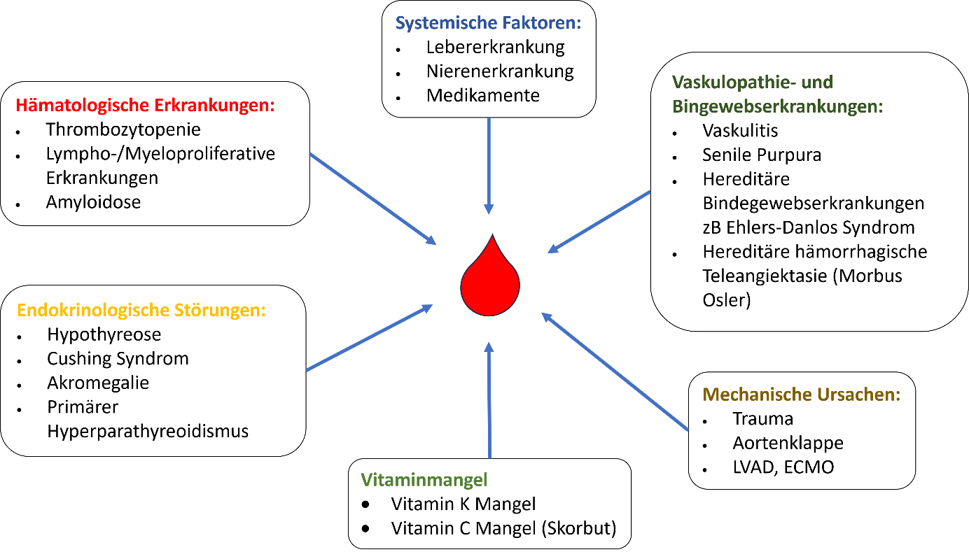 Beispiele für nicht hämostaseologische Krankheitsbilder mit erhöhter Blutungsneigung