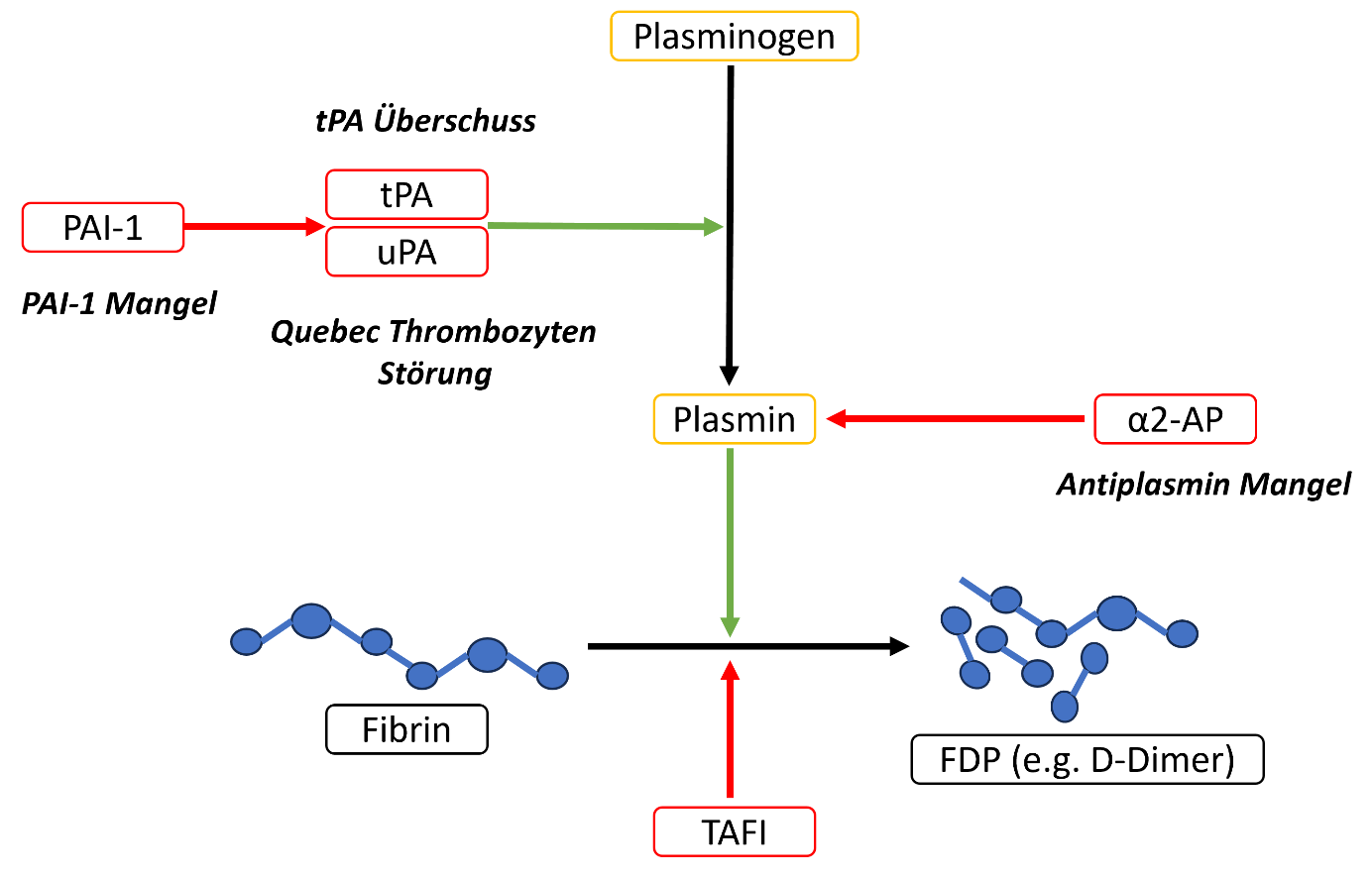 Bekannte angeborene hyperfibrinolytische Blutgerinnungsstörungen
