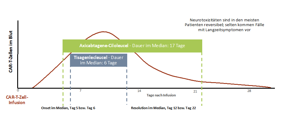 Zeitlicher Verlauf des ICANS [14]