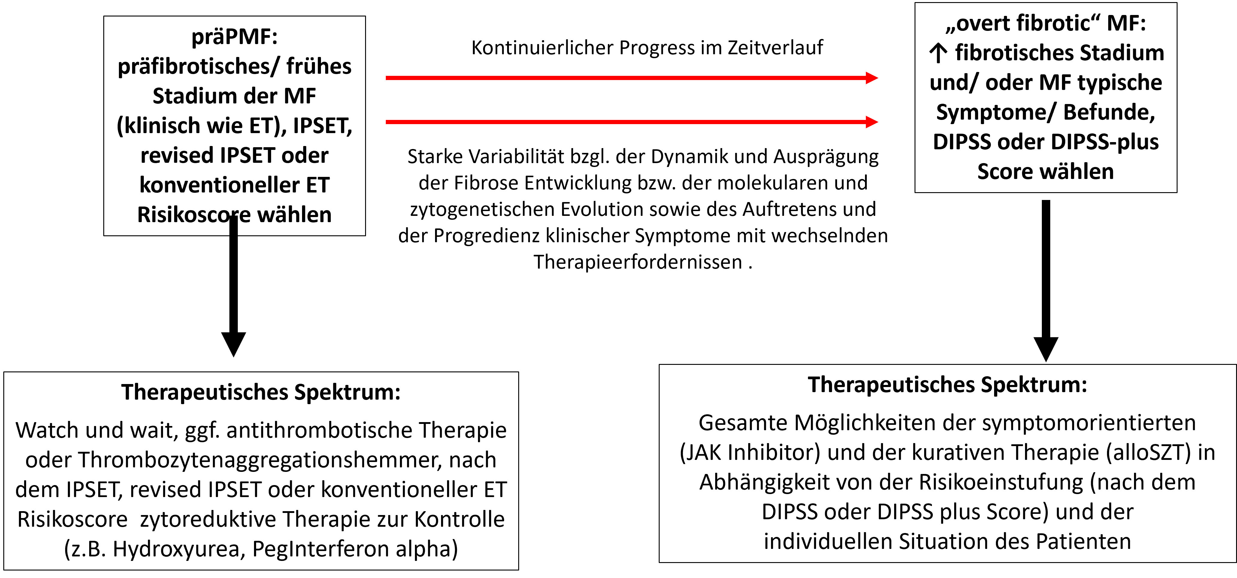Heterogenes klinisches Spektrum der präfibrotischen Myelofibrose (präPMF)