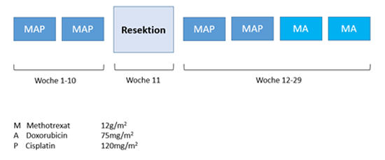 MAP-Chemotherapieprotokoll