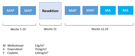 MAP-Chemotherapieprotokoll