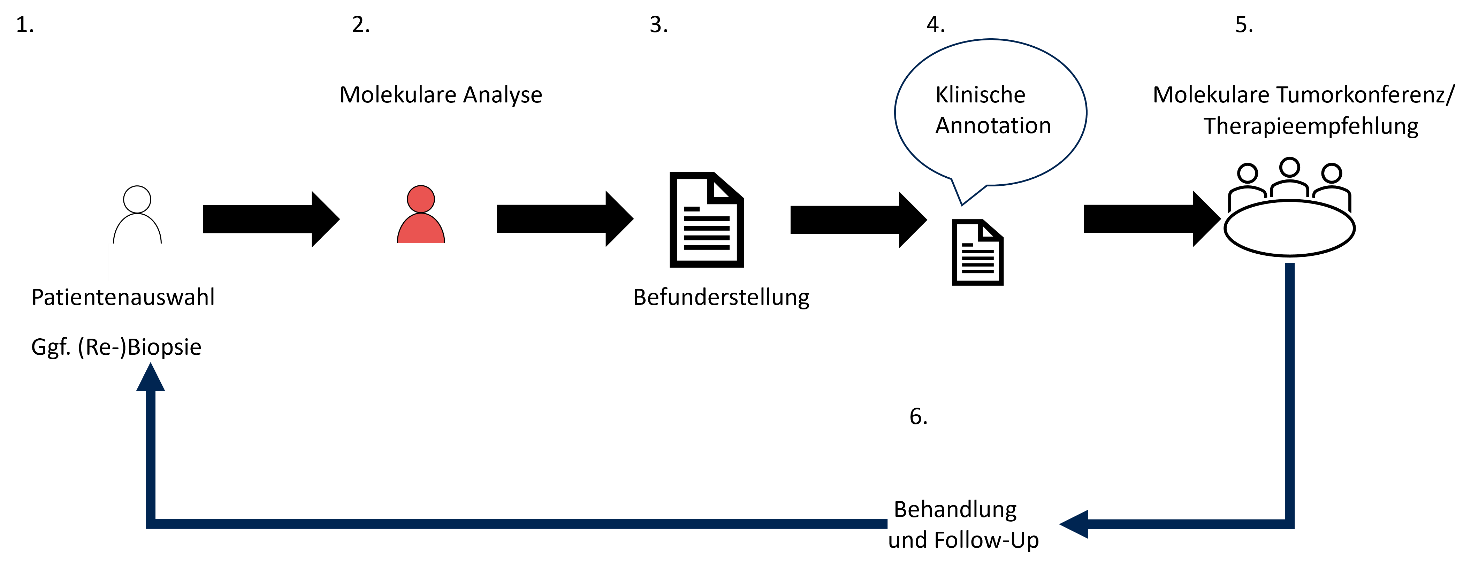 Schematische Übersicht über Arbeitsschritte in der Präzisionsonkologie.