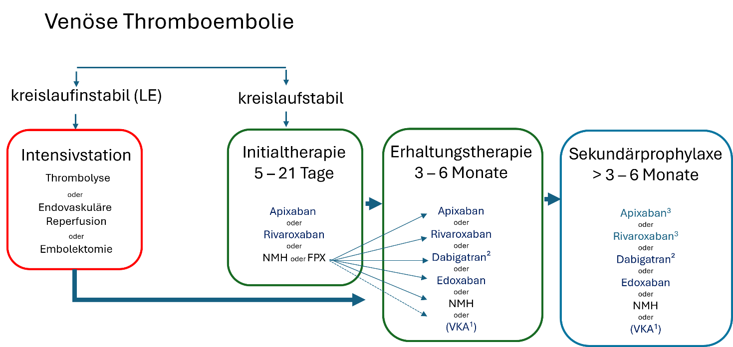 Algorithmus zur VTE-Therapie
