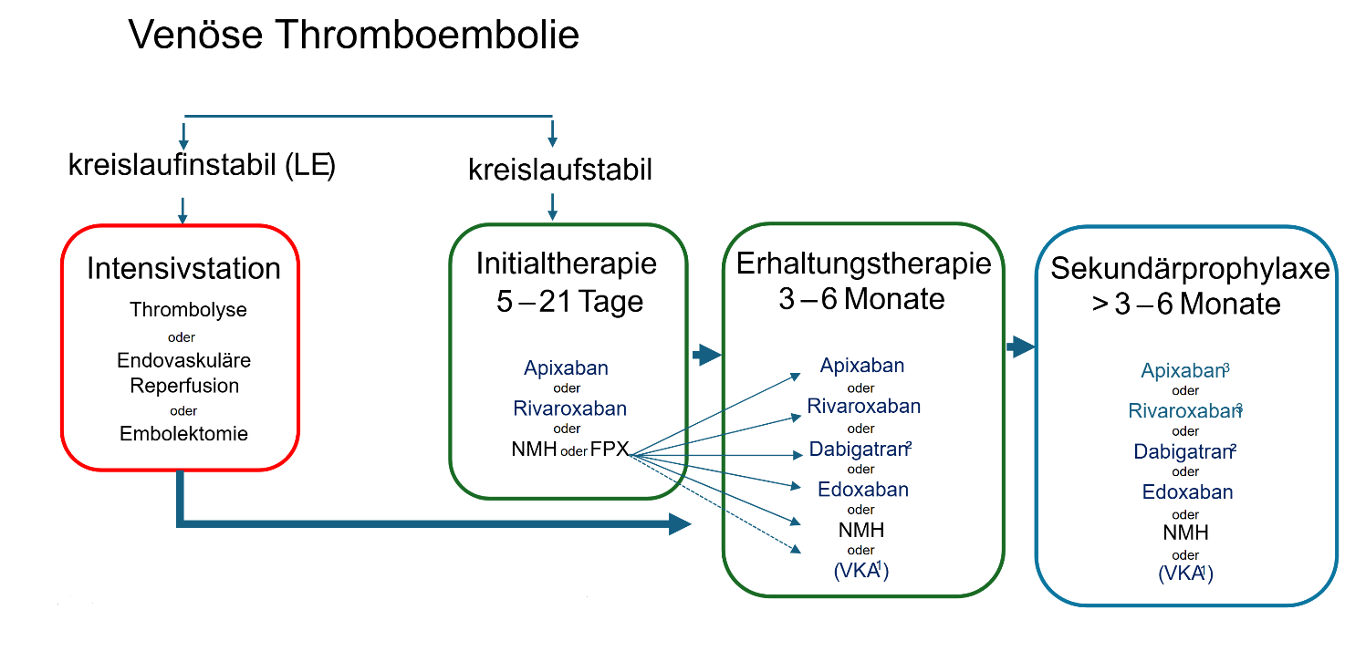 Algorithmus zur VTE-Therapie 