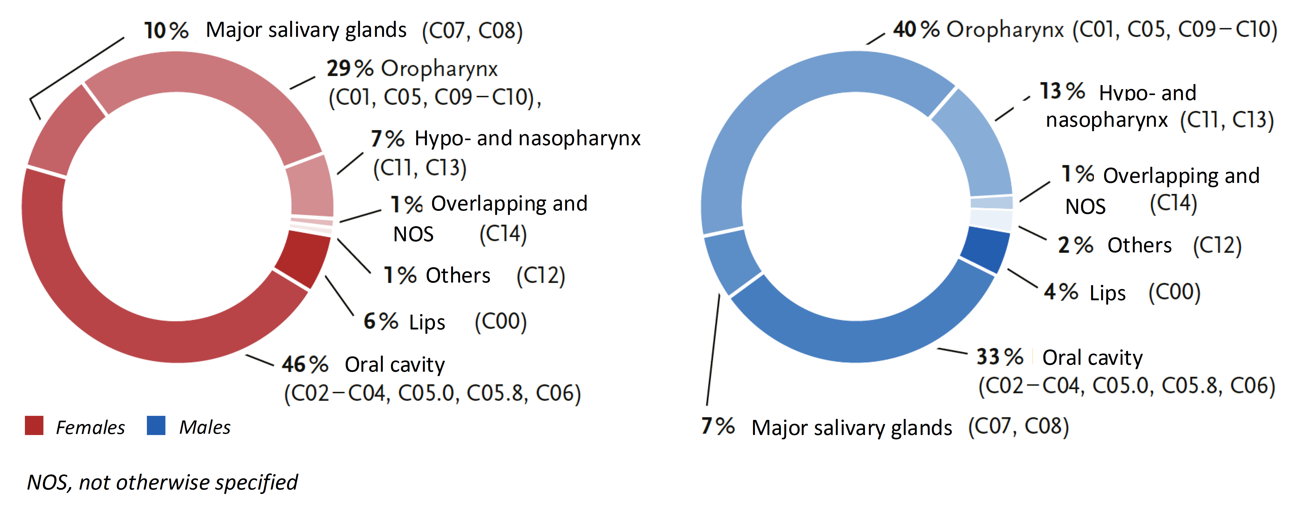 Distribution of malignant neoplasms of the oral cavity, nose, and pharynx (ICD-10 C00–C14) by site and sex, Germany 2021–2023
